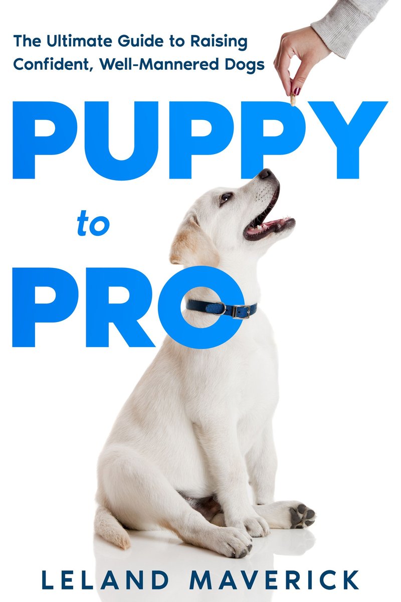 Puppy to Pro